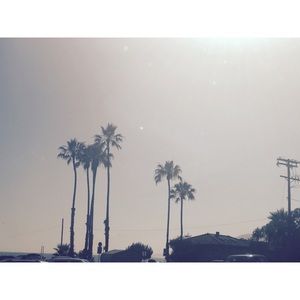 Meet your Posher, Brissa